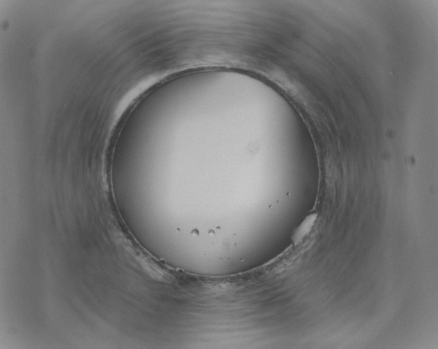 X0000074301230200609151934