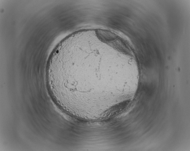 X0000074301231200609151934