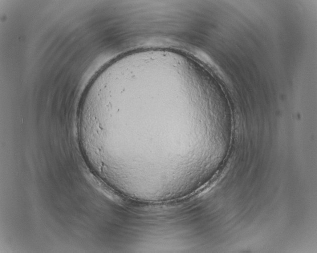 X0000074301232200609151934