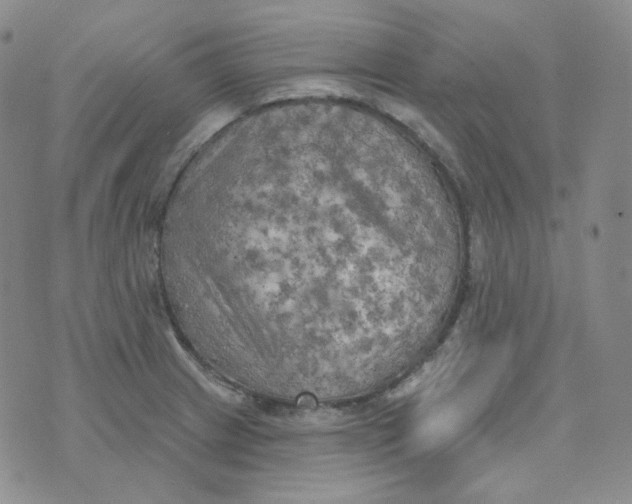 X0000074301233200609151934