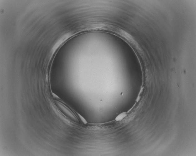 X0000074301234200609151934