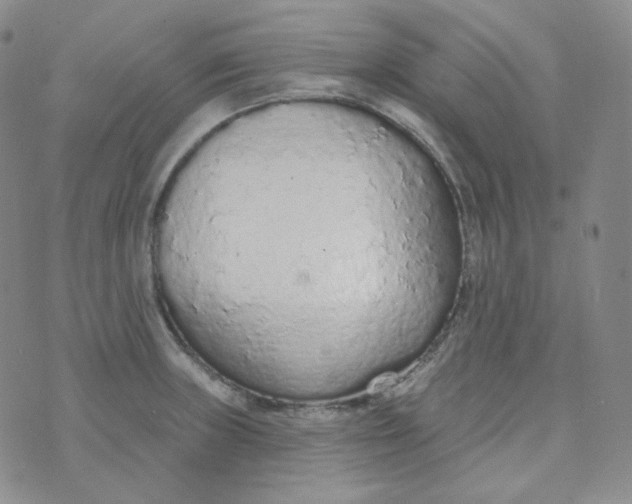 X0000074301235200609151934