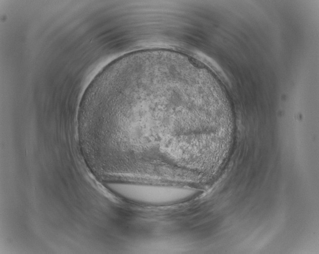 X0000074301236200609151934