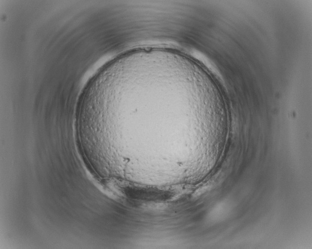 X0000074301237200609151934