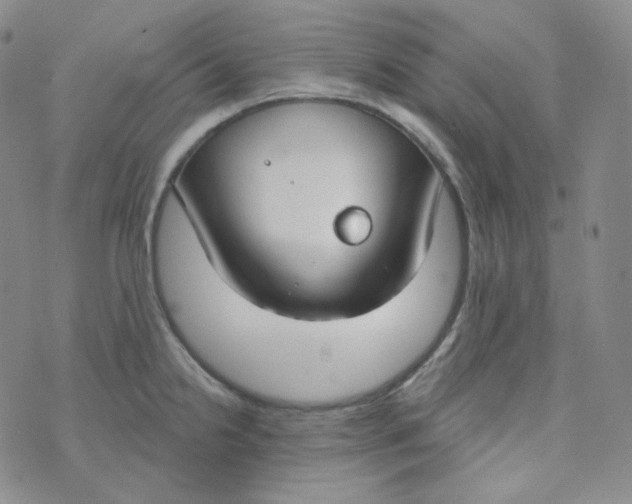 X0000074301238200609151934