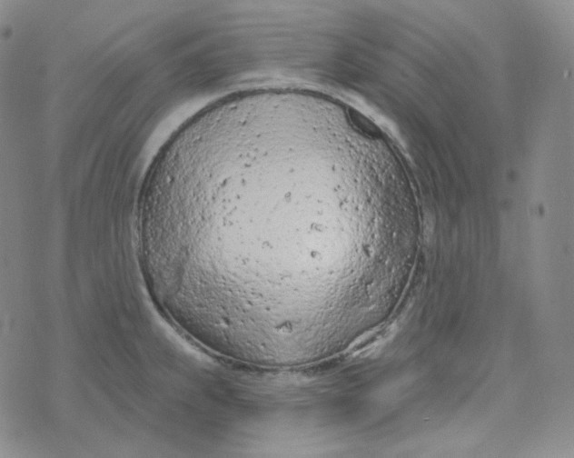 X0000074301239200609151934