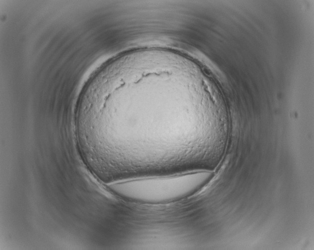 X0000074301240200609151934