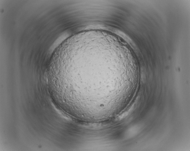 X0000074301241200609151934