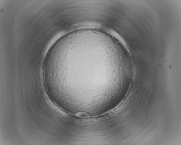 X0000074301243200609151934