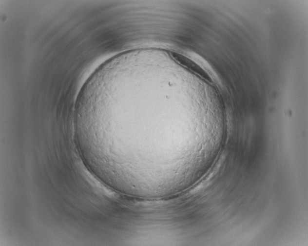 X0000074301244200609151934