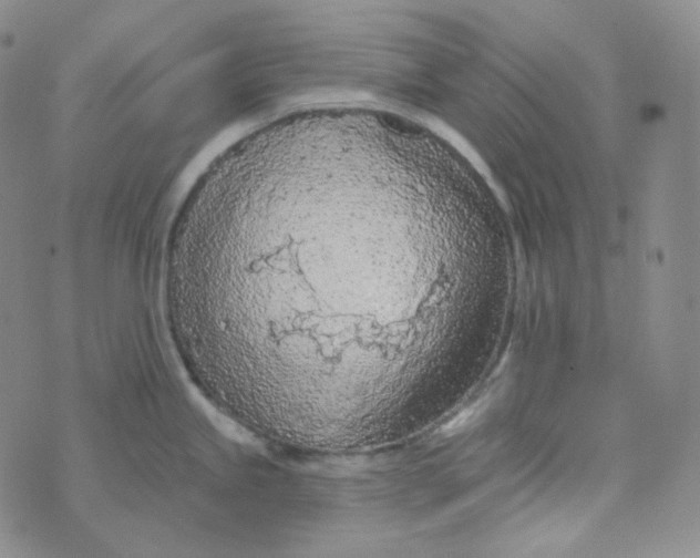 X0000074301245200609151934