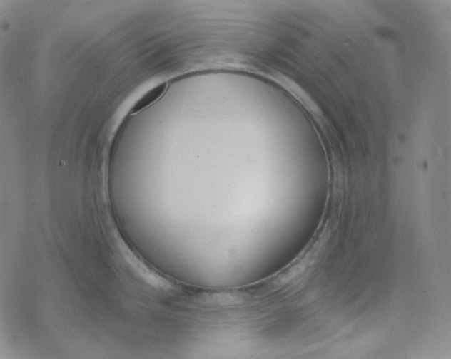 X0000074301246200609151934