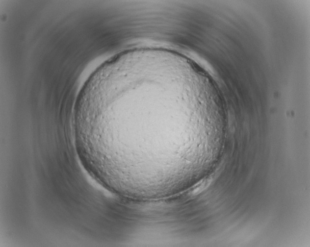 X0000074301247200609151934