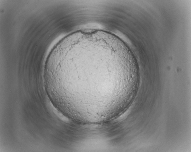 X0000074301248200609151934