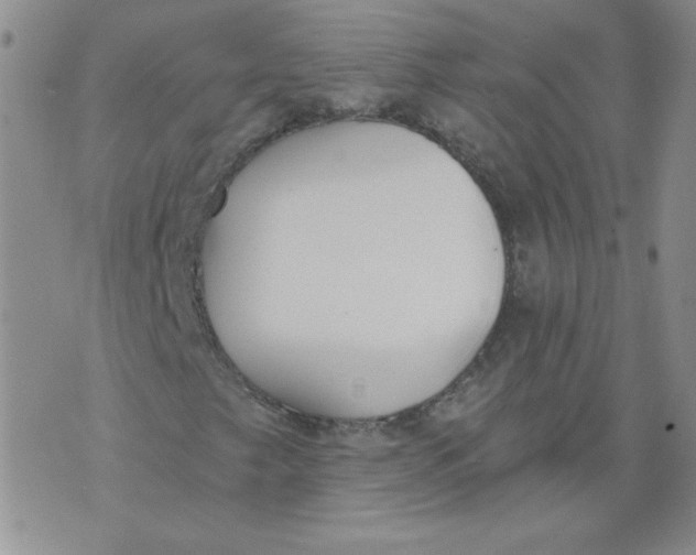 X0000074301249200609151933