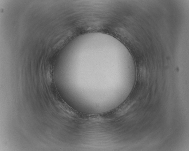 X0000074301250200609151933