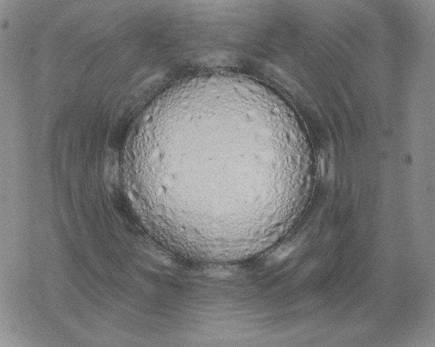 X0000074301251200609151933