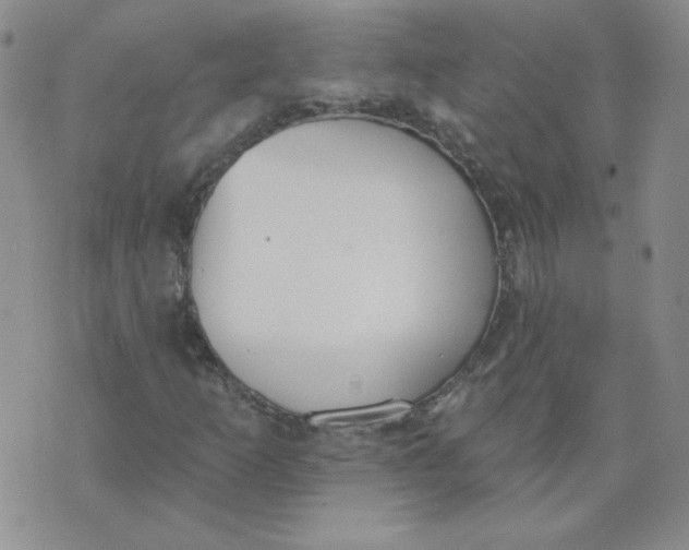 X0000074301253200609151933