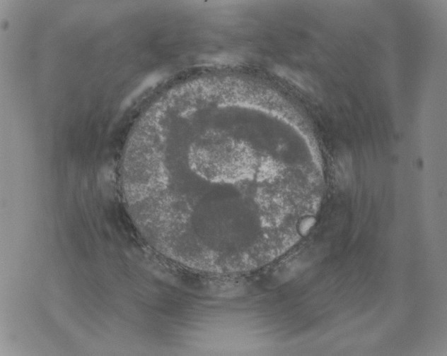 X0000074301254200609151933