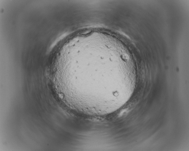 X0000074301255200609151933