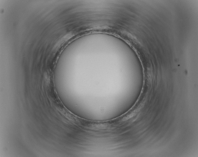 X0000074301257200609151933