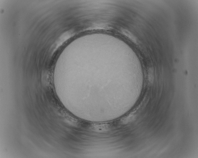 X0000074301258200609151933