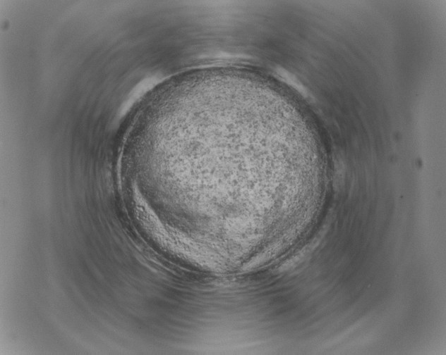 X0000074301259200609151933