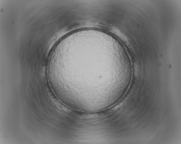 X0000074301260200609151933