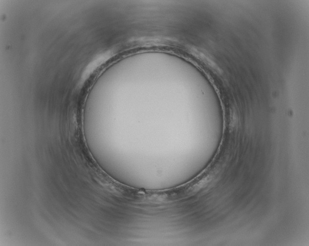 X0000074301261200609151933