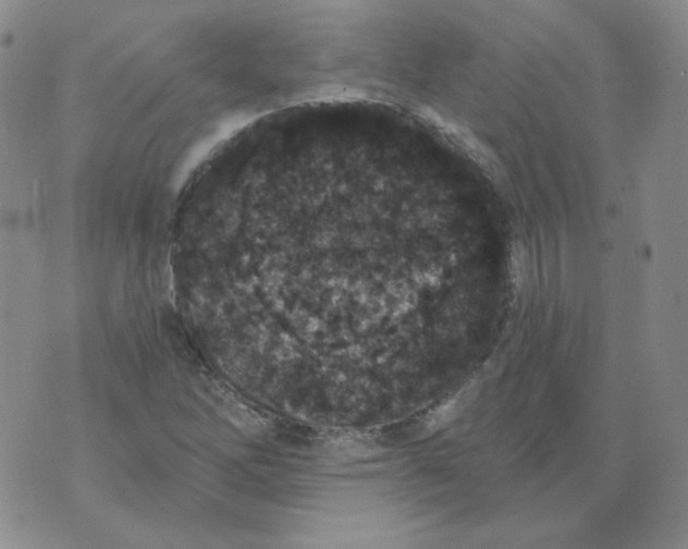 X0000074301262200609151933