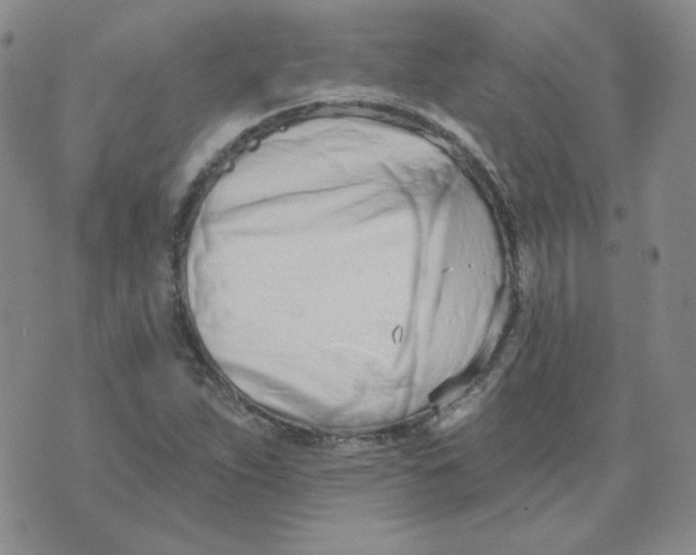 X0000074301263200609151933