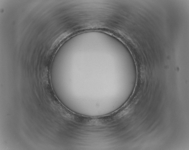 X0000074301265200609151933