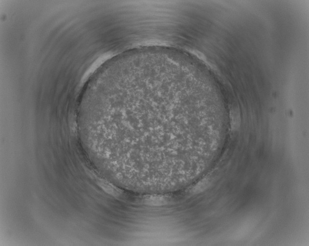 X0000074301266200609151933