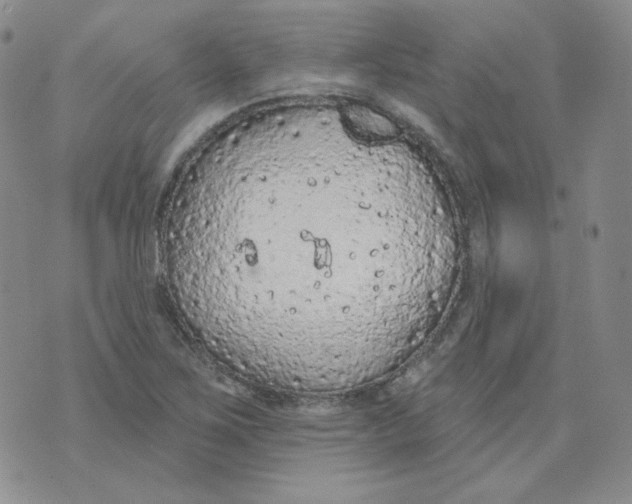 X0000074301267200609151933