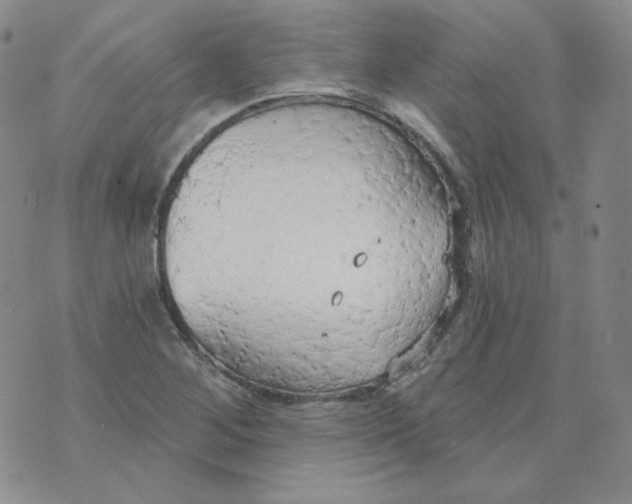 X0000074301268200609151933