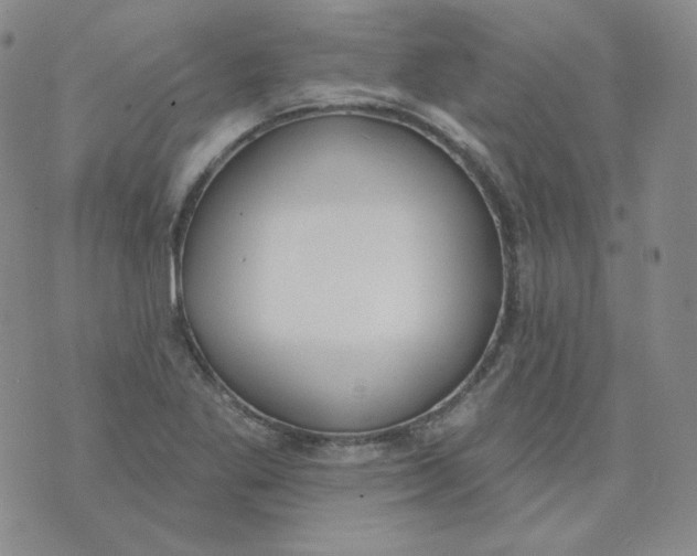 X0000074301269200609151933