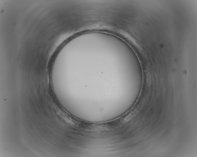 X0000074301270200609151933