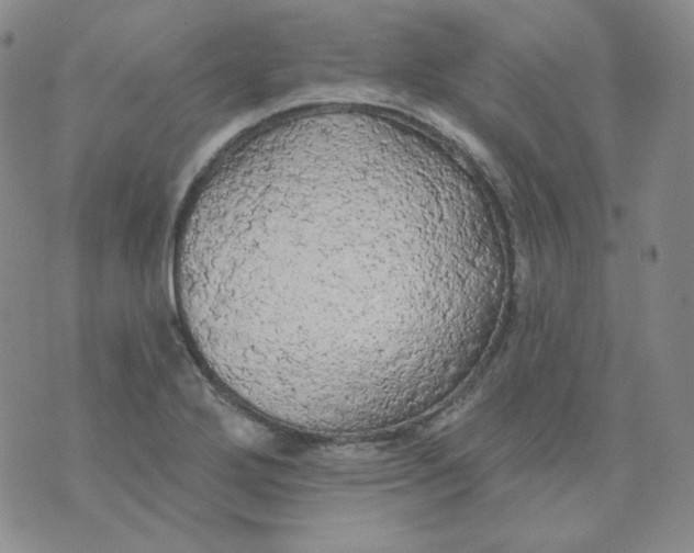 X0000074301272200609151933