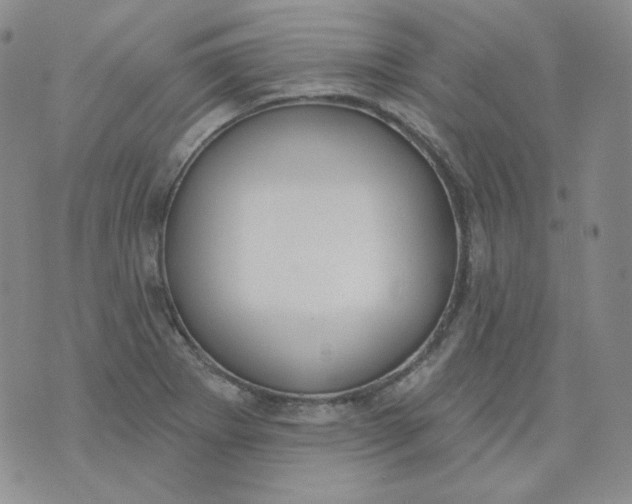 X0000074301273200609151933