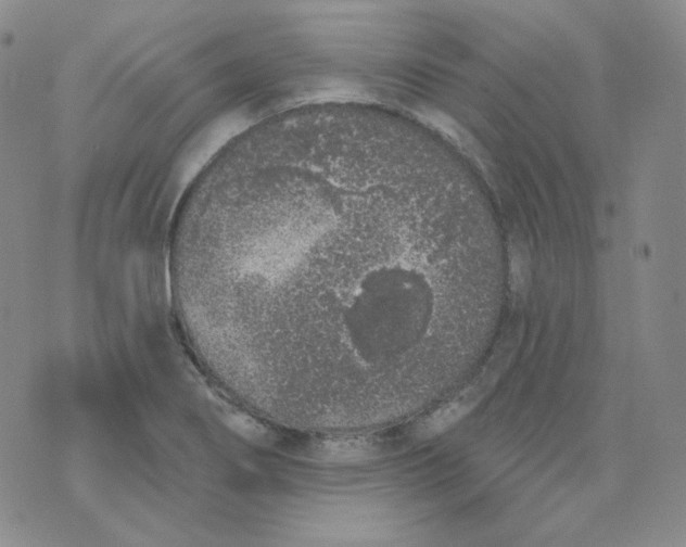 X0000074301274200609151933