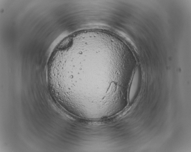 X0000074301275200609151933