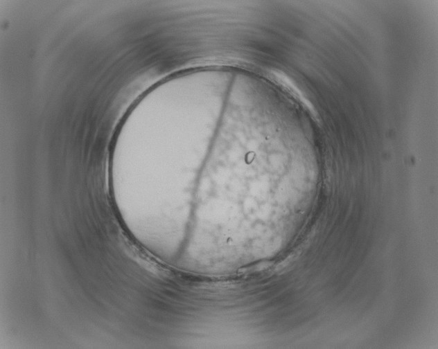 X0000074301276200609151933