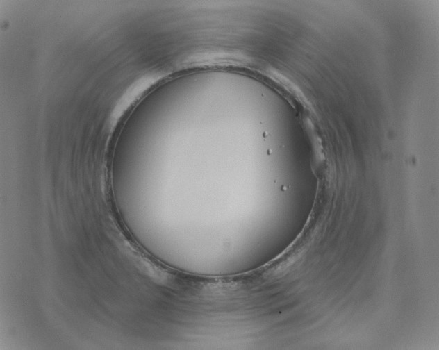 X0000074301277200609151933