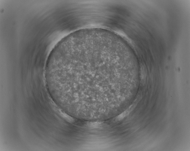 X0000074301278200609151933