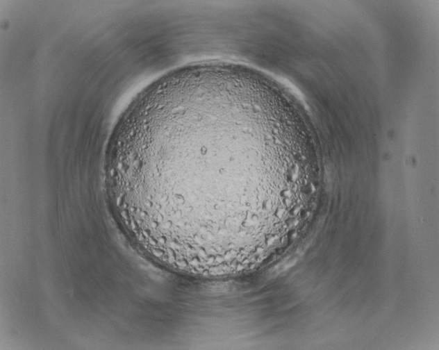 X0000074301279200609151933