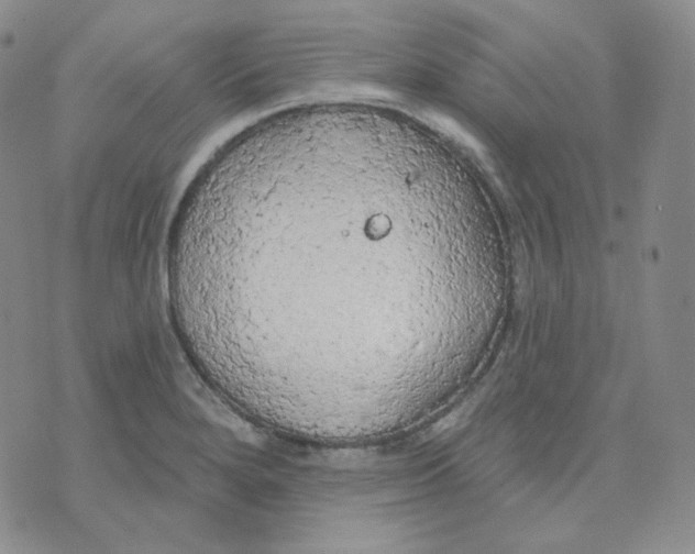 X0000074301280200609151933