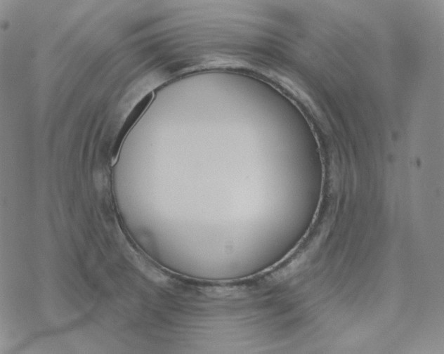 X0000074301281200609151933