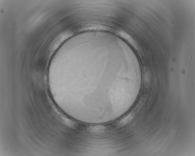 X0000074301282200609151933