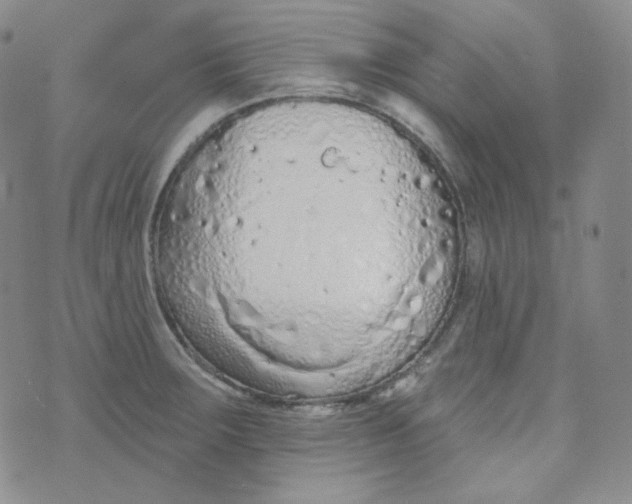 X0000074301283200609151932