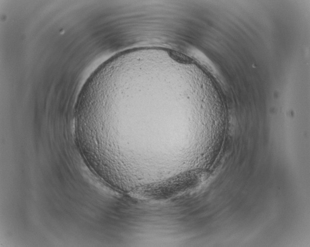 X0000074301284200609151932